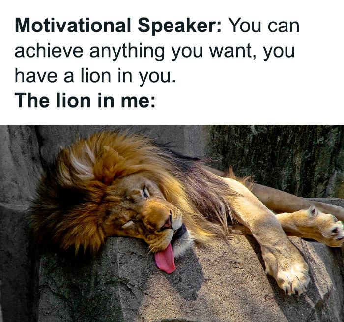 Queen-Of-Sarcasm-Memes