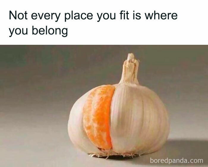 Queen-Of-Sarcasm-Memes