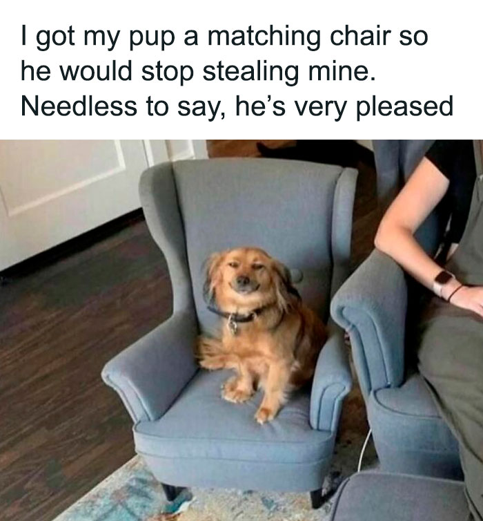 Queen-Of-Sarcasm-Memes