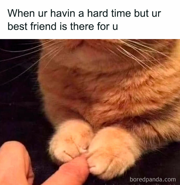 Queen-Of-Sarcasm-Memes