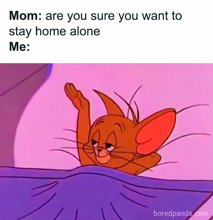 Queen-Of-Sarcasm-Memes