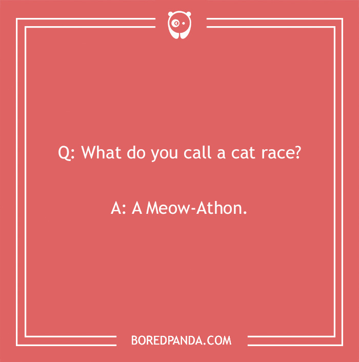 140 Racing Jokes That'll Drive You Mad With Laughter