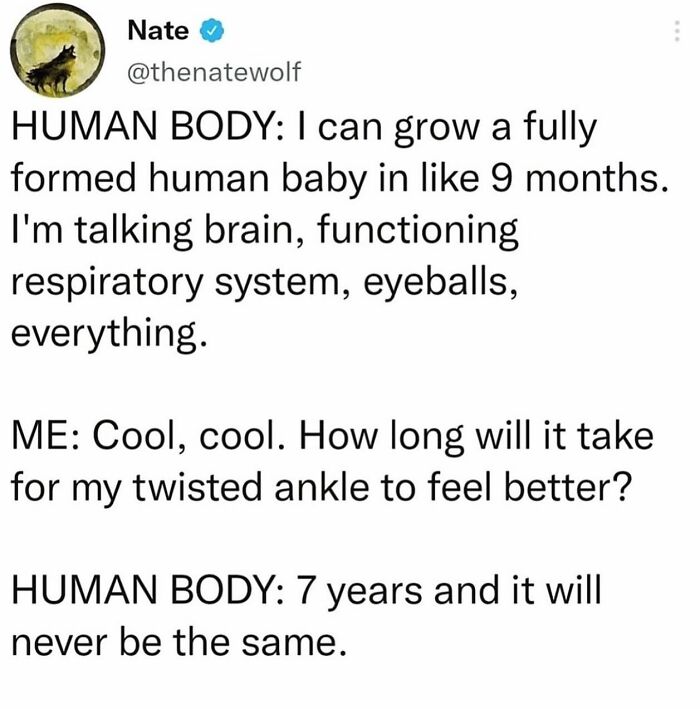 Random-Funny-Relatable-Memes