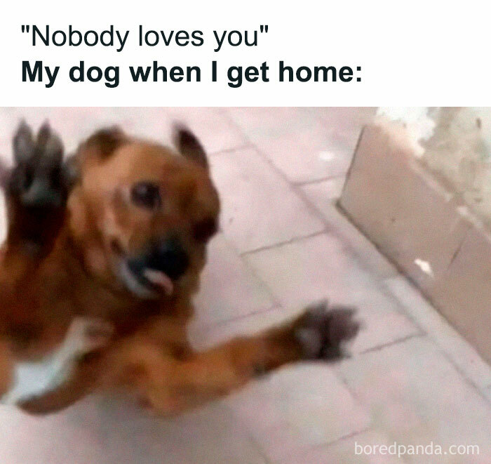 Random-Memes-For-Days