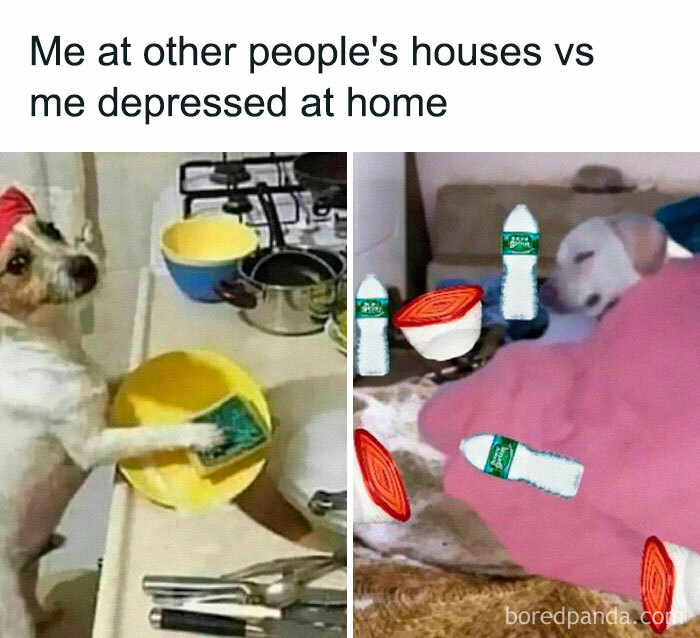 Random-Memes-For-Days