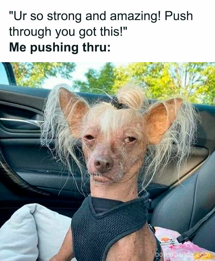 Random-Memes-For-Days