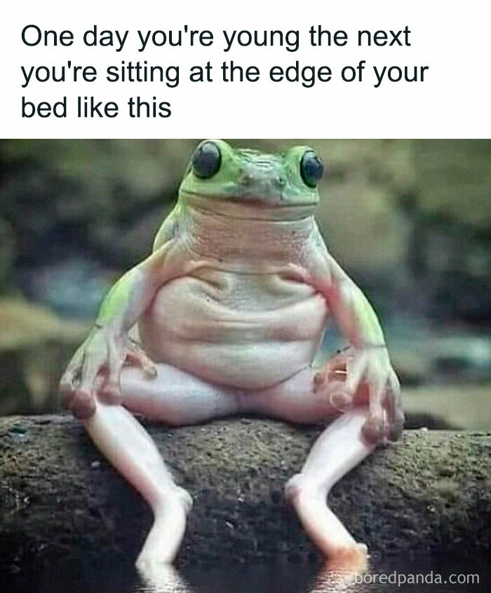 Random-Memes-For-Days