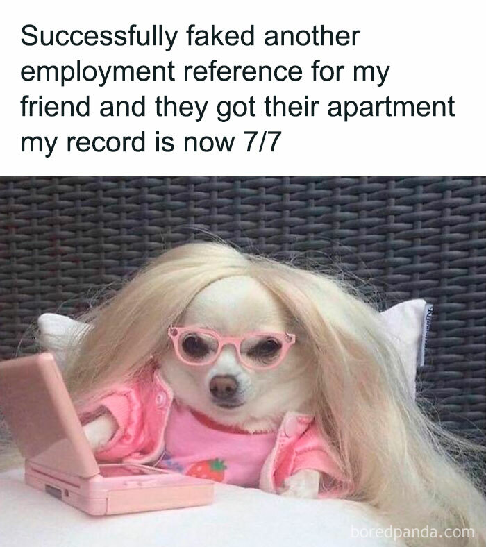 Random-Memes-For-Days