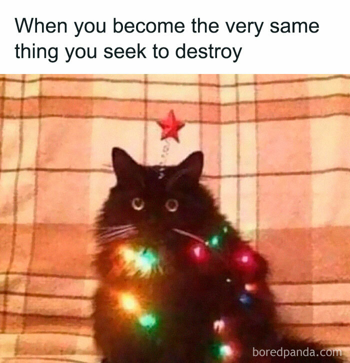 Random-Memes-For-Days