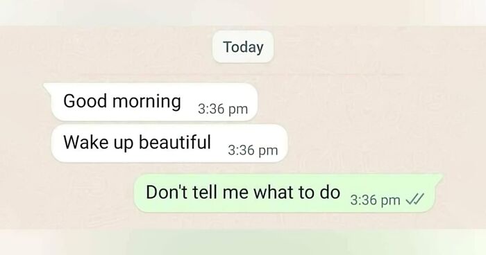 50 Funny Memes That Are Ripe With Sarcastic Undertones For The Whole Family To Enjoy (New Pics)