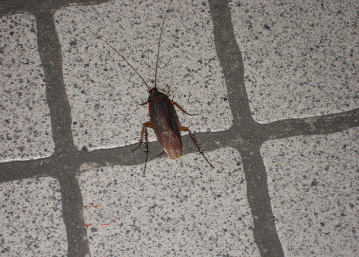 “Everyone Will Hate You”: 35 Restaurant Workers Reveal Dirty Secrets You Might Not Want To Know