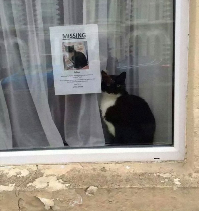 Funny-Fails-You-Had-One-Job