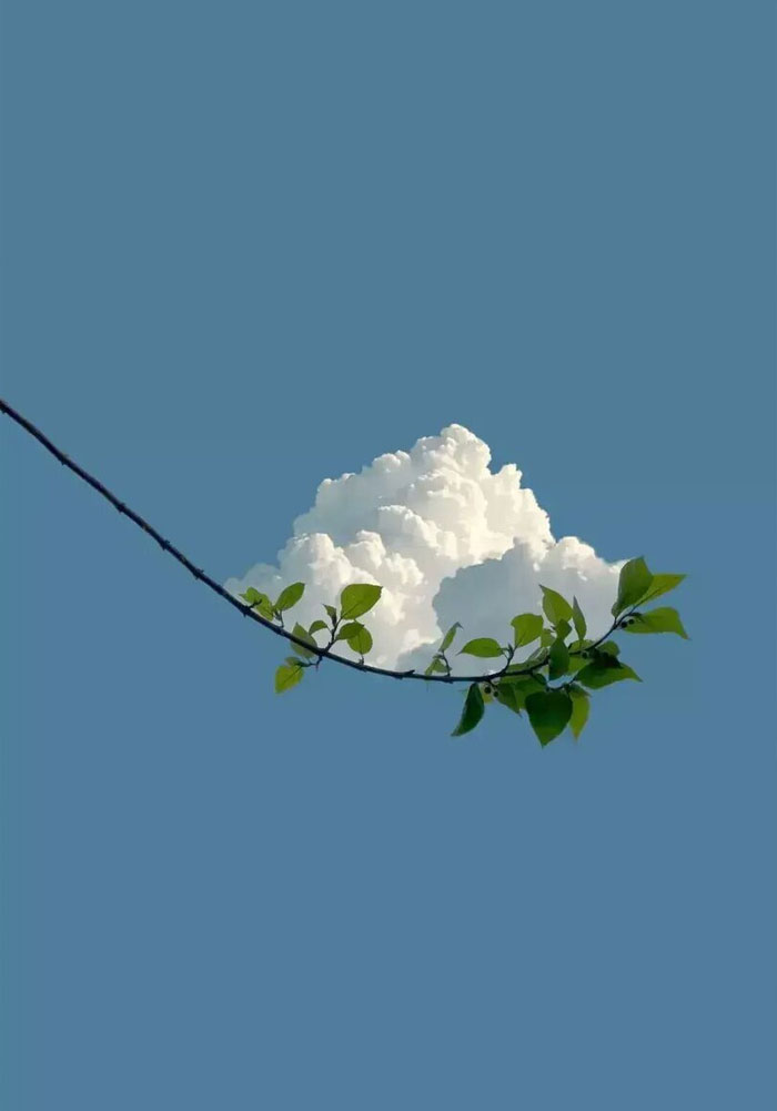 Perfectly Aligned Cloud