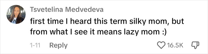 &ldquo;Silky Mom&rdquo; Lists Everything She Lets Her Kids Do, The Internet Is Not Impressed