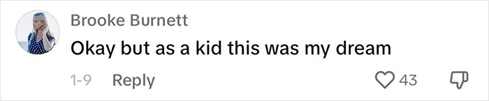 &ldquo;Silky Mom&rdquo; Lists Everything She Lets Her Kids Do, The Internet Is Not Impressed