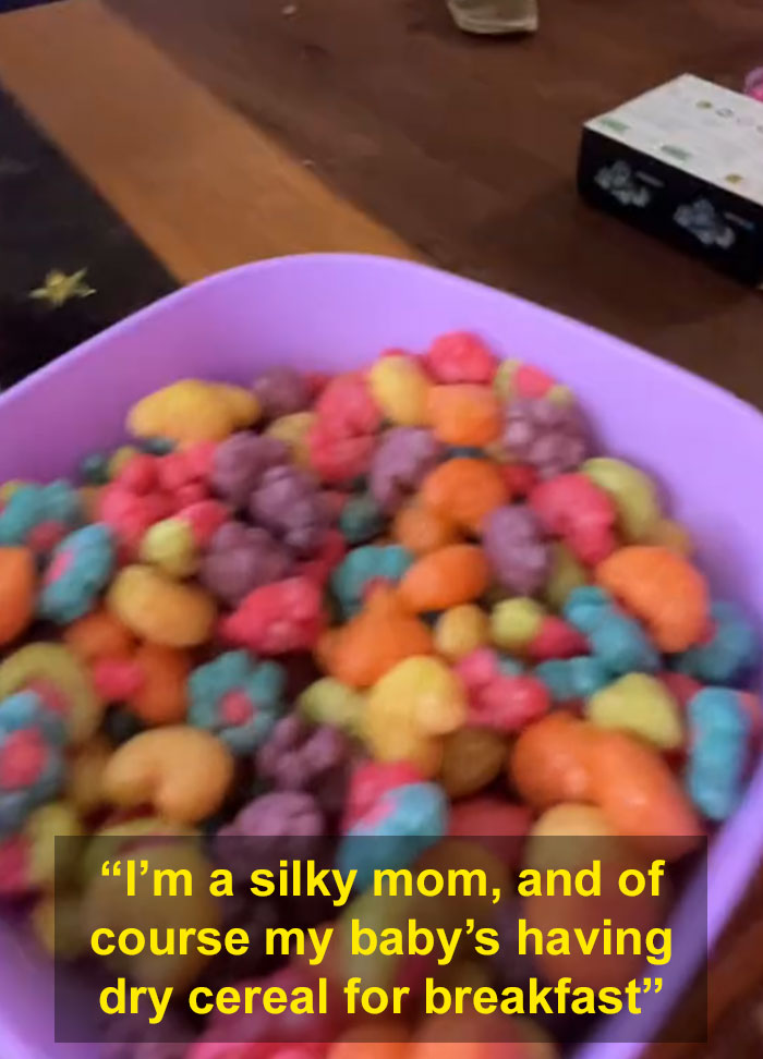 &ldquo;Silky Mom&rdquo; Lists Everything She Lets Her Kids Do, The Internet Is Not Impressed