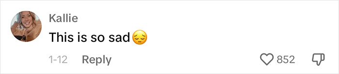 &ldquo;Silky Mom&rdquo; Lists Everything She Lets Her Kids Do, The Internet Is Not Impressed