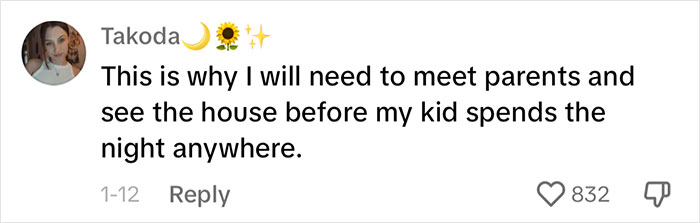 &ldquo;Silky Mom&rdquo; Lists Everything She Lets Her Kids Do, The Internet Is Not Impressed