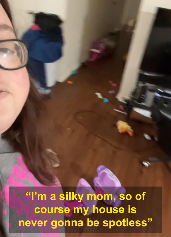 &ldquo;Silky Mom&rdquo; Lists Everything She Lets Her Kids Do, The Internet Is Not Impressed