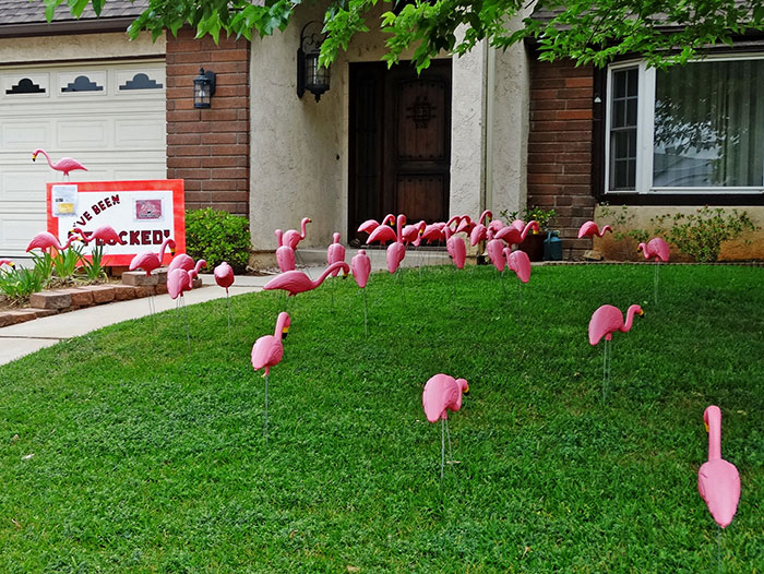 30 Simple Facts About The World To Entertain The Inner Child Within