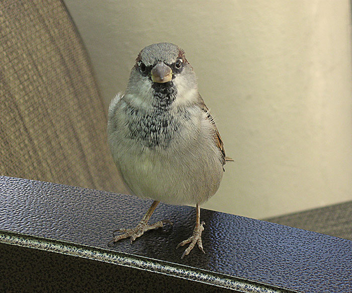 30 Simple Facts About The World To Entertain The Inner Child Within