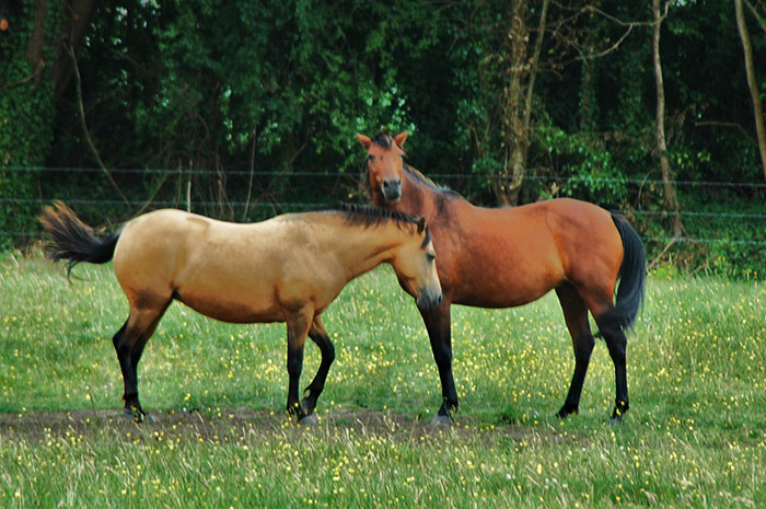 30 Simple Facts About The World To Entertain The Inner Child Within