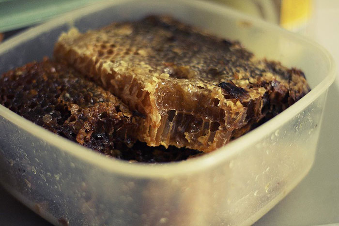 30 Simple Facts About The World To Entertain The Inner Child Within