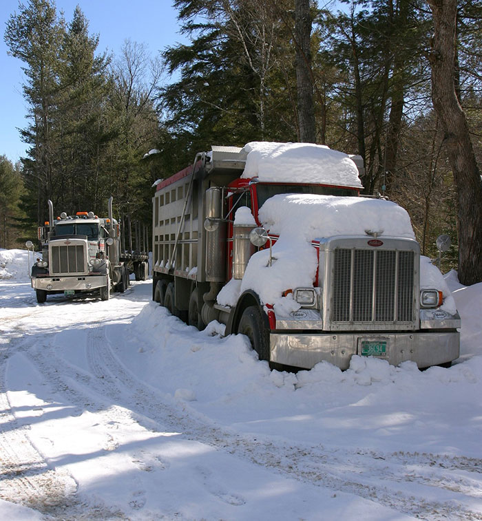 30 Simple Facts About The World To Entertain The Inner Child Within