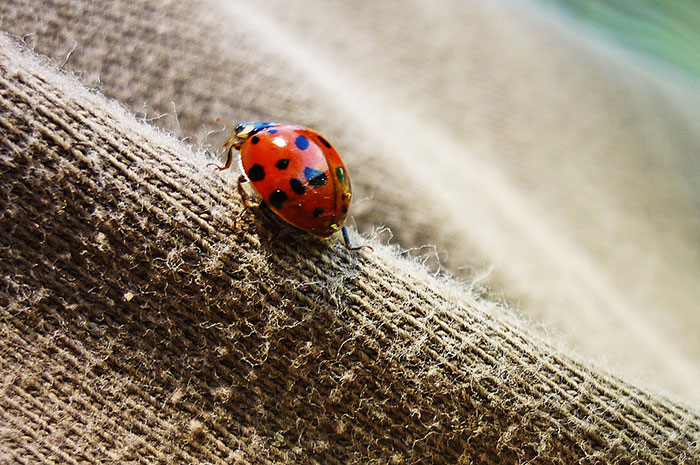 30 Simple Facts About The World To Entertain The Inner Child Within