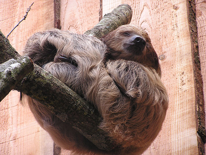 30 Simple Facts About The World To Entertain The Inner Child Within