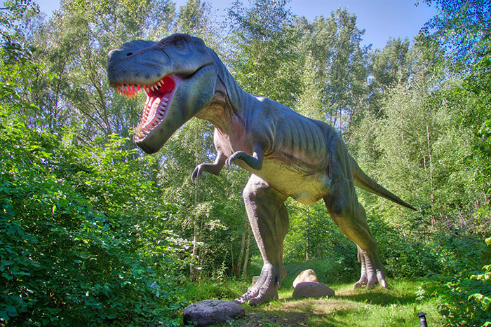 30 Simple Facts About The World To Entertain The Inner Child Within