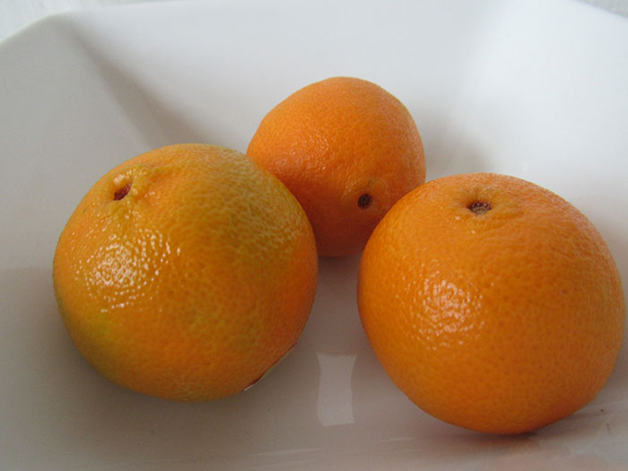 30 Simple Facts About The World To Entertain The Inner Child Within