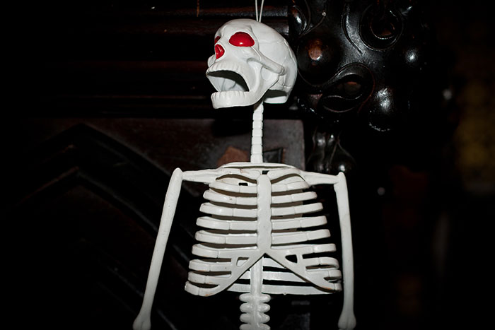 30 Simple Facts About The World To Entertain The Inner Child Within