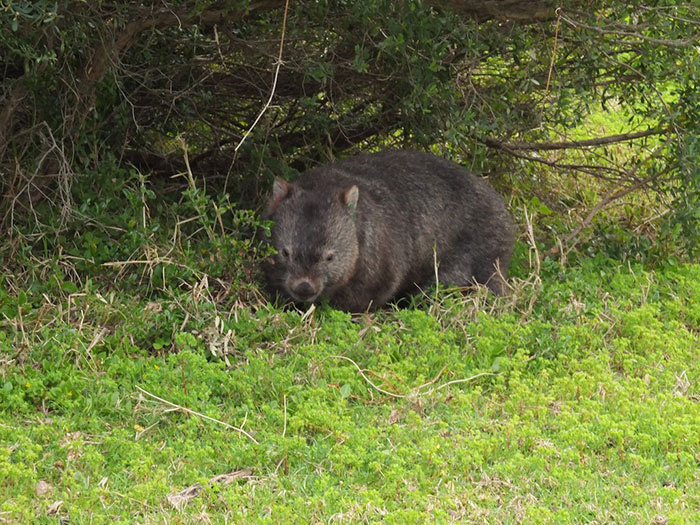 30 Simple Facts About The World To Entertain The Inner Child Within