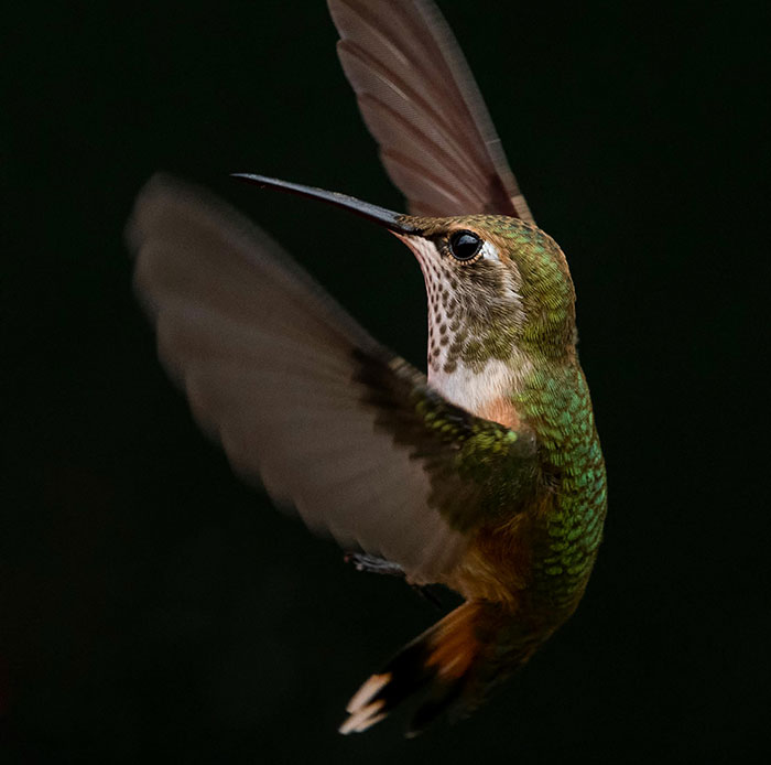 30 Simple Facts About The World To Entertain The Inner Child Within