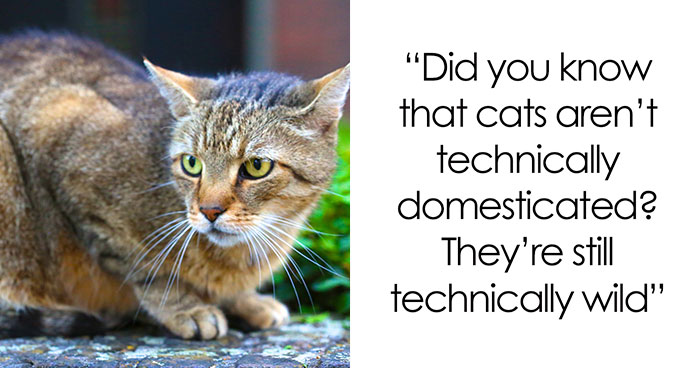 30 Simple Facts About The World To Entertain The Inner Child Within