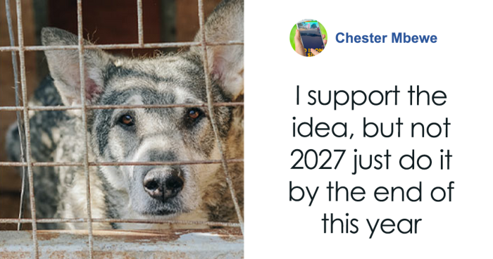 South Korea Bans Dog Meat Trade, Sparking Debate Between Older And Younger Generations