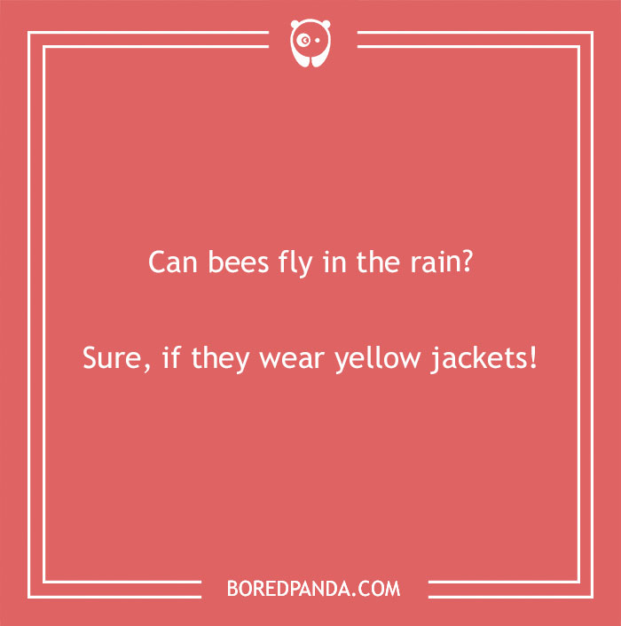 Spring joke about bees and rain, with a humorous twist on yellow jackets, displayed on a pink background.