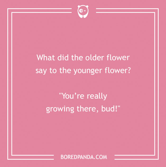 Spring joke on a pink background: "What did the older flower say? You're really growing there, bud!"