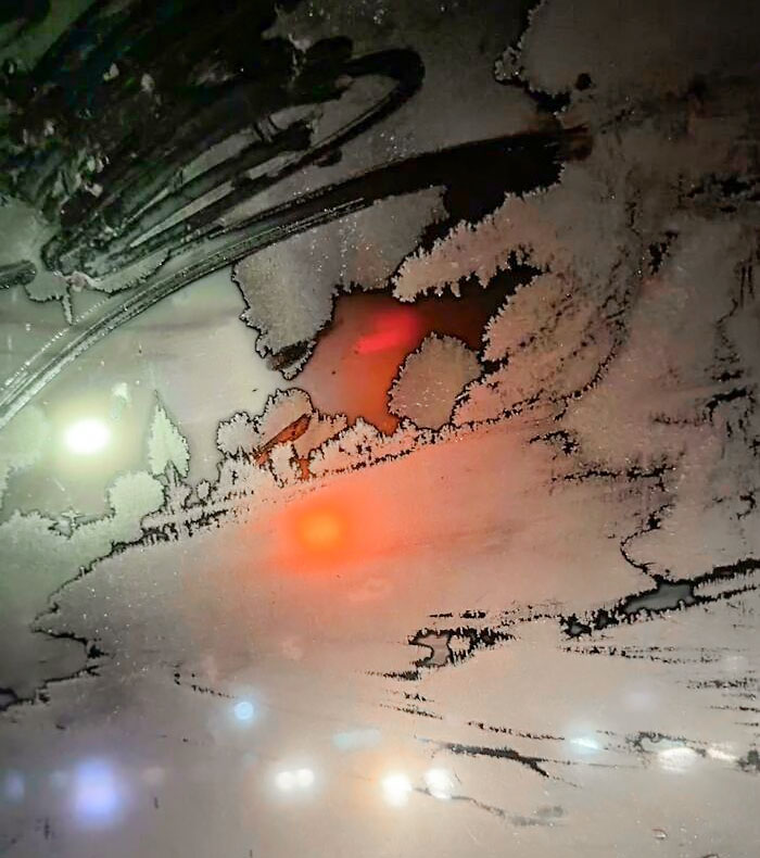 The Frost On My Car Window Looks Like A Sketch