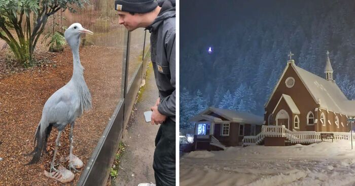 50 Times People Had To Look Twice To Truly Understand The Things That Were In Front Of Them (New Pics)