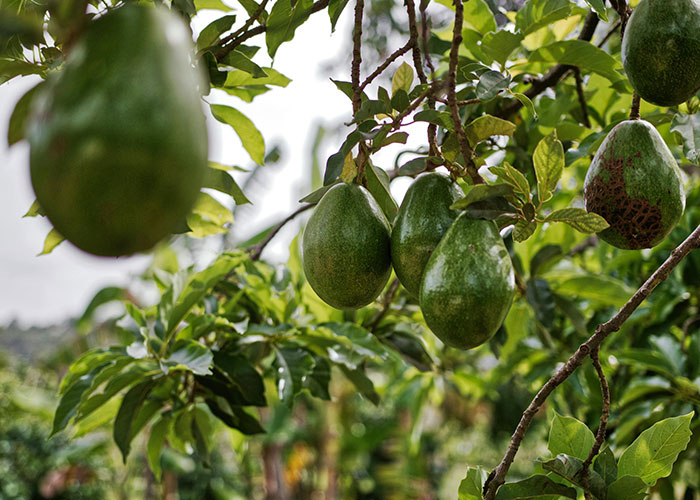 “WWIII May Be Closer Than We Realize”: 50 Dark World News People Should Know