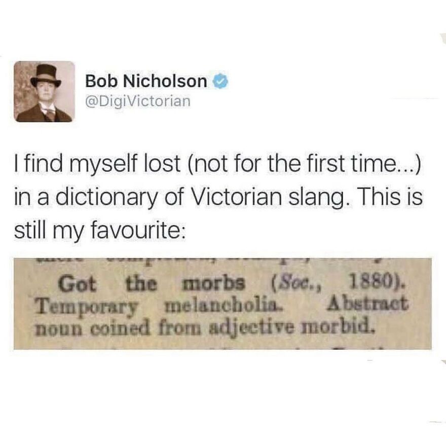 These Morbs Are Dumb Thicc Today Fam. @digivictorian