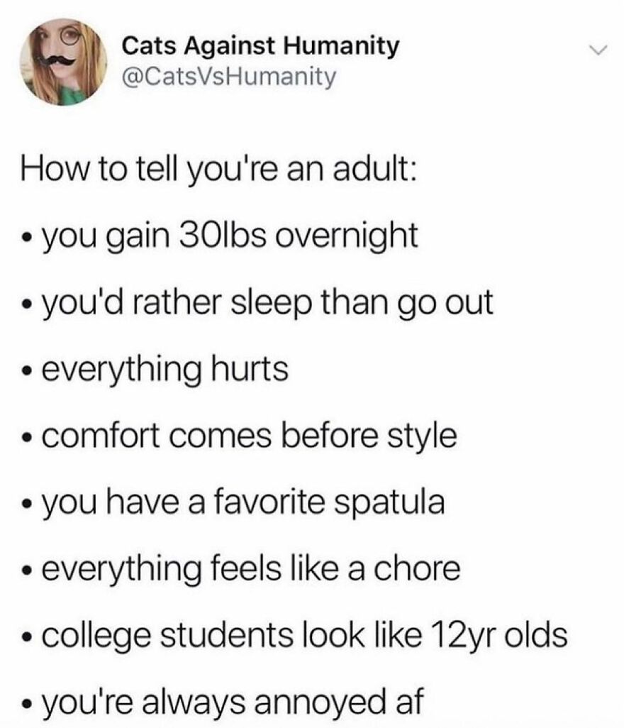 This Tracks. @cats.vs.humanity