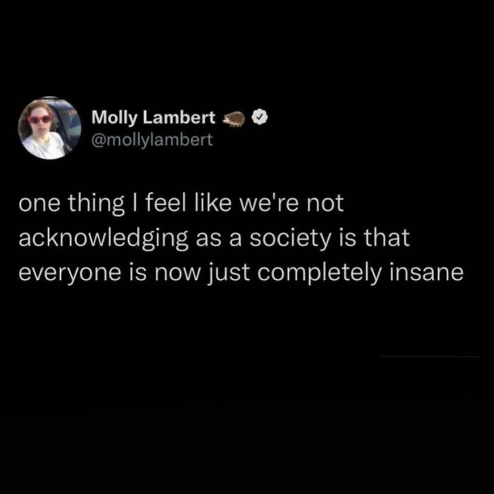 Tweet by Molly Lambert stating a funny meme about society being completely insane for social meme enjoyment.