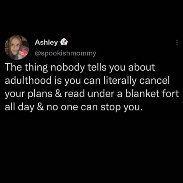 Funny memes about adulthood freedom of canceling plans and enjoying quiet time under a blanket fort when not feeling social.