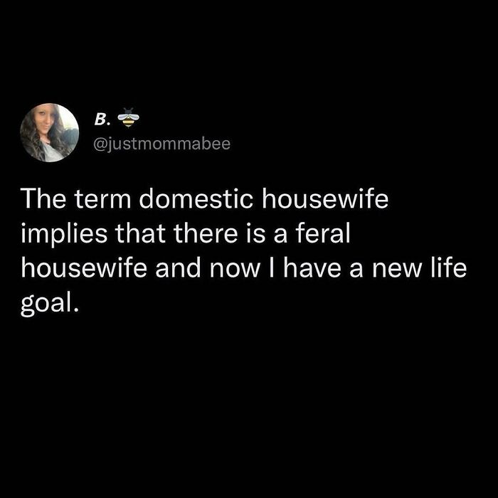 Funny meme text about domestic housewife and feral housewife as a new life goal, perfect for moments not feeling social.