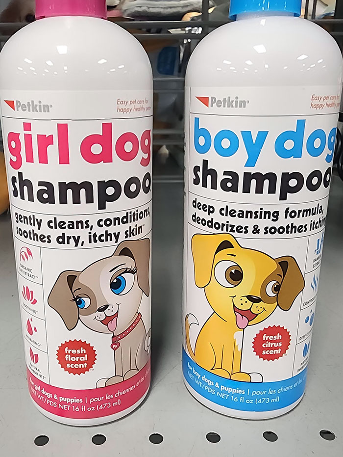 If You Get Your Boy Dog The Girl Dog Shampoo, He Will Turn Into A Flower