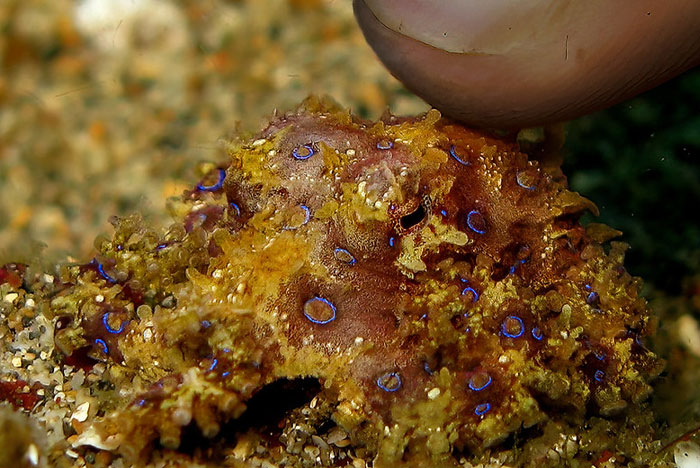 “What’s An Unwritten Rule In Your Country That Tourists Always Seem To Break?” (30 Answers)