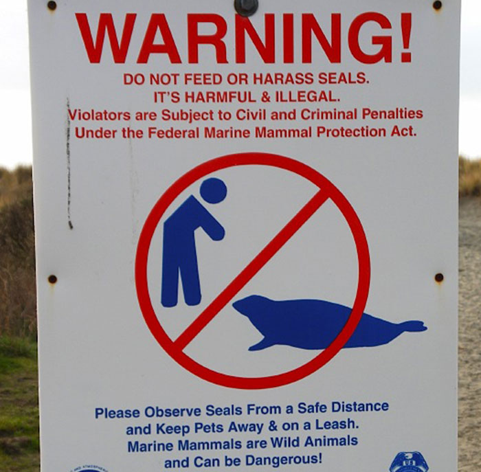 “What’s An Unwritten Rule In Your Country That Tourists Always Seem To Break?” (30 Answers)